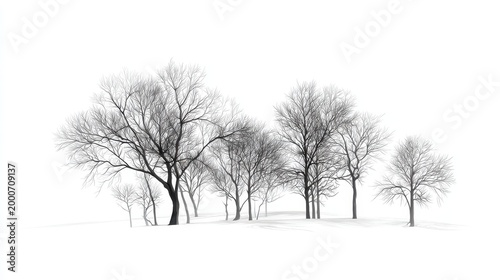 Monochrome illustration of winter trees with bare branches on white canvas