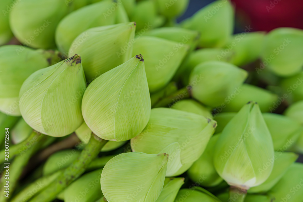 Fototapeta premium Green lotus buds arranged to pay respect to the Buddha in a serene spiritual setting.