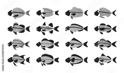 Slika na platnu Fish skeleton vector icon animal bone fishbone logo ghost dead fish symbol sign illustration
