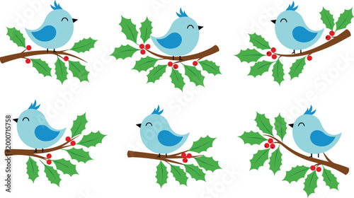 Adorable blue birds sitting on holly branches with red berries for holiday and winter-themed illustrations on white background.