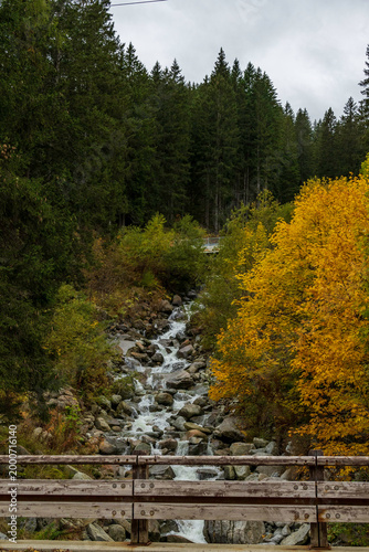 view of autumnal forest in Trentino Alto Adige with warm colors	