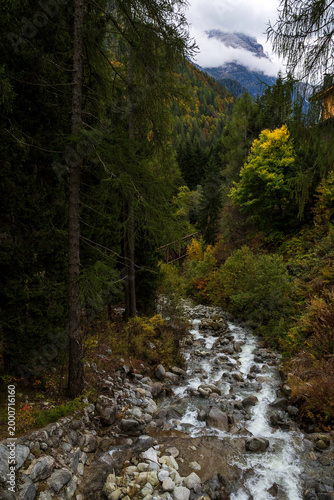 view of autumnal forest in Trentino Alto Adige with warm colors	