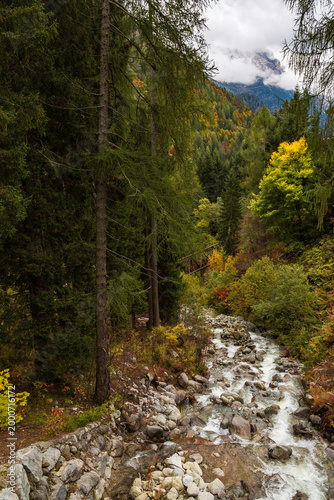 view of autumnal forest in Trentino Alto Adige with warm colors	