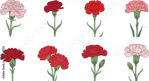 Collection of pink and red carnation flowers with stems and leaves in various poses for floral design illustrations on white background.