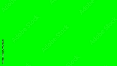 cute dolphin jumping or leaping out and splash effect follow the jump 2D cartoon animation with green screen background