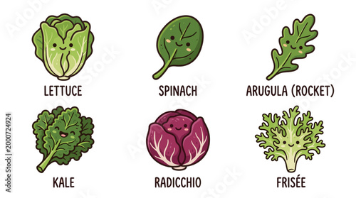 Fresh Salad Leaves Doodle Illustration Set of Green Vegetables