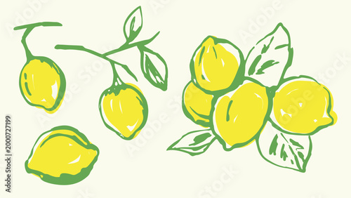 Lemons hand drawn vector illustration. Not AI