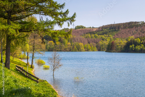 Versetalsperre im Frühling (Rundweg)