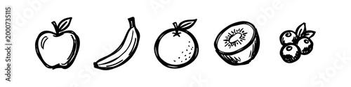 Set of hand-drawn black ink fruit icons including apple, banana, orange, kiwi, and blueberries. Minimalist sketch style isolated on white background for healthy food and lifestyle designs.