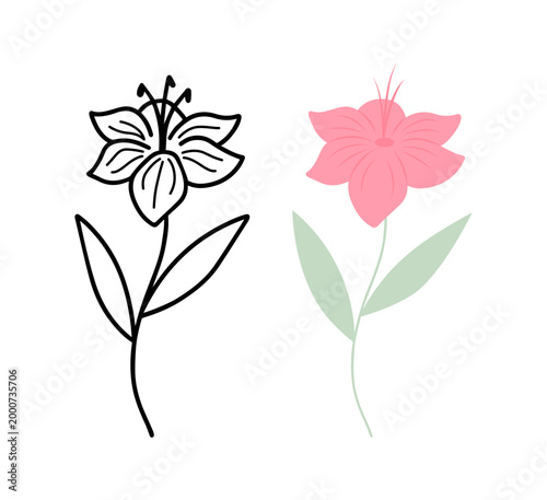 Detailed pink botanical flower drawing, Minimalist Botanical Set