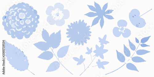 diverse collection of blue botanical specimens on light background high quality professional detailed modern elegant