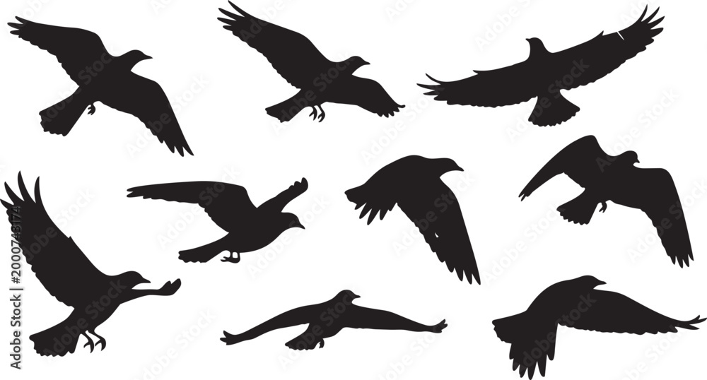 Obraz premium Flying birds flock silhouettes grunge brush hand drawn marker vector illustration isolated