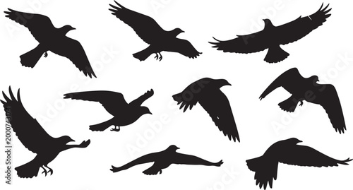 Flying birds flock silhouettes grunge brush hand drawn marker vector illustration isolated