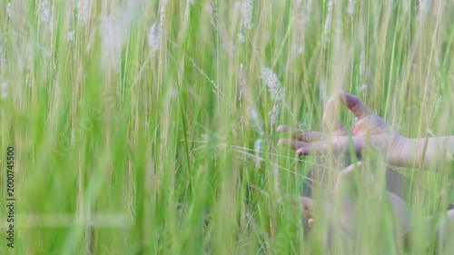 Close-up of Hand Reaching Yoga Through Lush Green Grass with Blurred Background