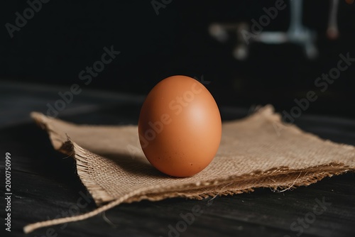 Brown egg on burlap