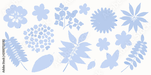 diverse collection of blue botanical specimens on white background high quality professional detailed modern elegant