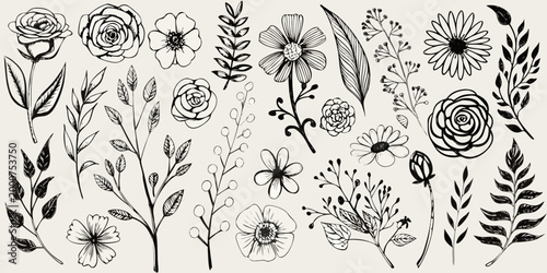 botanical illustrations in black and white line art style high quality professional detailed modern elegant