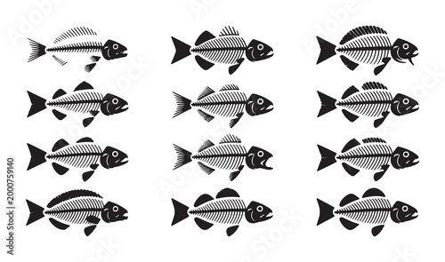 Set of fish skeleton illustrations in black and white silhouette style for marine biology or science themes.