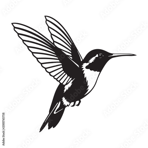 Black hummingbird flying with wings spread