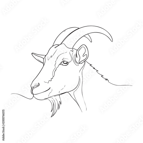 Sketch of a goat with large curved horns