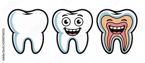Dental hygiene concept healthy tooth cartoon drawing, tooth anatomy stages, dentist care illustration.