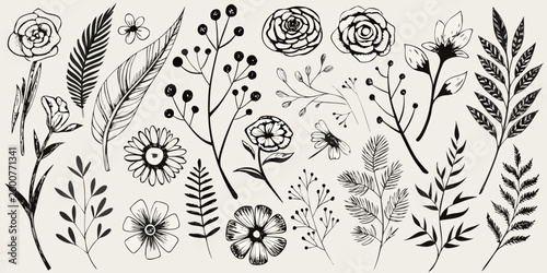 botanical illustrations in black and white line art style high quality professional detailed modern elegant