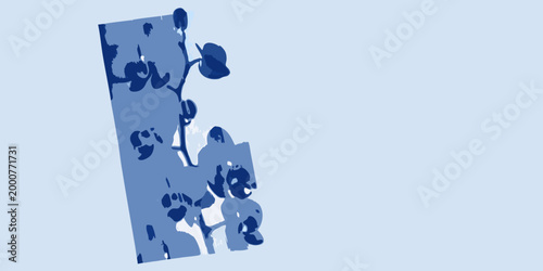 botanical illustration of orchid with blue monochrome shading high quality professional detailed modern elegant stylish