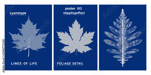 three botanical posters with detailed leaf illustrations on blue background high quality professional modern elegant