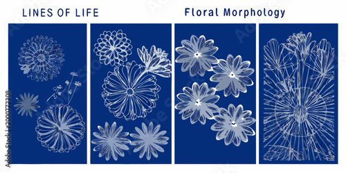 four scientific posters showcasing detailed floral morphology on blue background high quality professional modern elegant