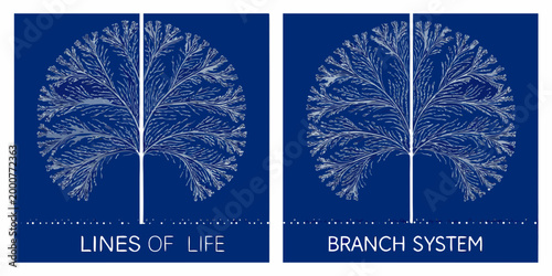 structured illustrations of plant branches on blue background high quality professional detailed modern elegant stylish