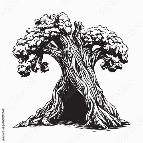 Large Century Tree With Big Trunk Hole Graphic Vector Design