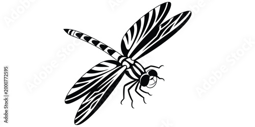Detailed dragonfly insect with patterned wings, black and white symmetrical design, natural beauty artwork, decorative entomology concept, flat vector illustration