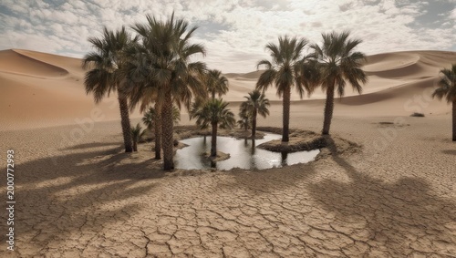 Desert Oasis With Palm Trees and Water Surrounded by Sand Dunes.