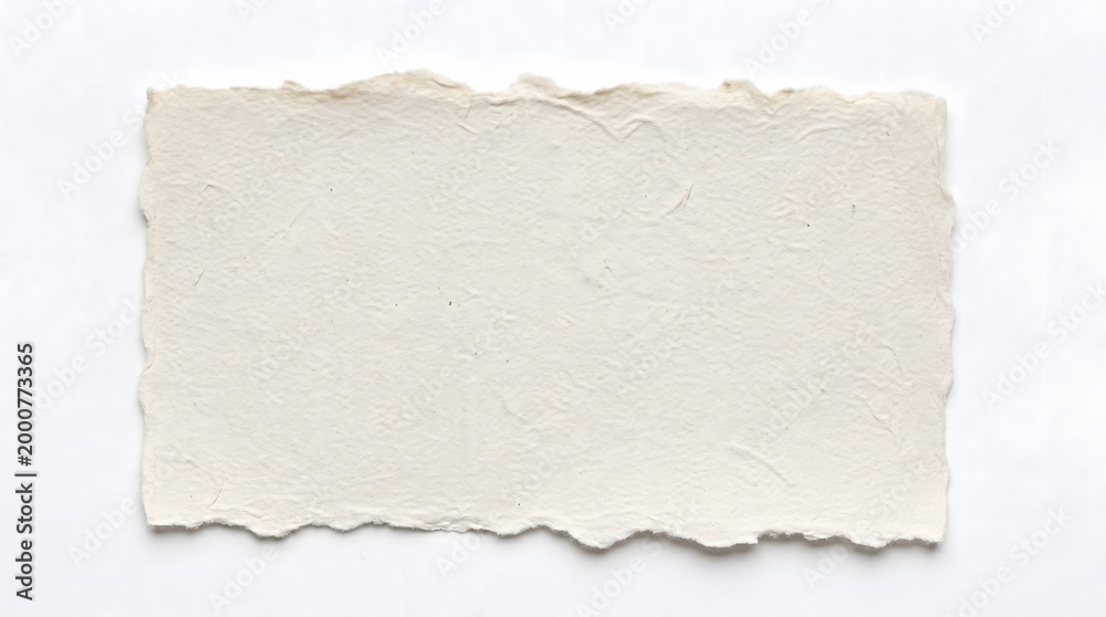 Obraz premium Torn paper, blank card, ripped edge, white background, textured cardstock, empty note