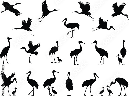 Stork and crane silhouette collection with flying and standing water bird poses, black wildlife icons set isolated on white background, cad drawing flat vector illustration.