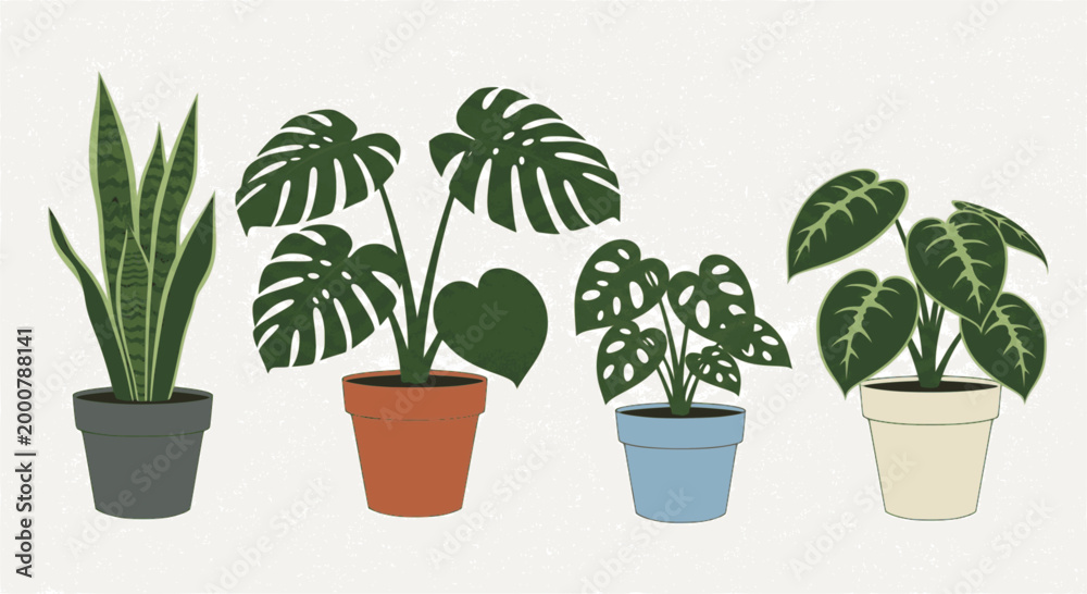 Obraz premium Professional collection of black houseplants silhouettes in decorative pots featuring monstera, fiddle leaf fig, snake plant, and succulents isolated on white background for interior design and urban