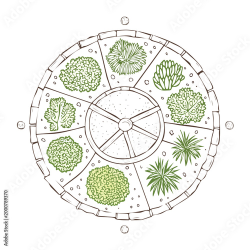 Geometric garden bed layout with various plants botanical landscape geometric horticulture planting architecture exterior cultivation decorative ornamental illustration environment