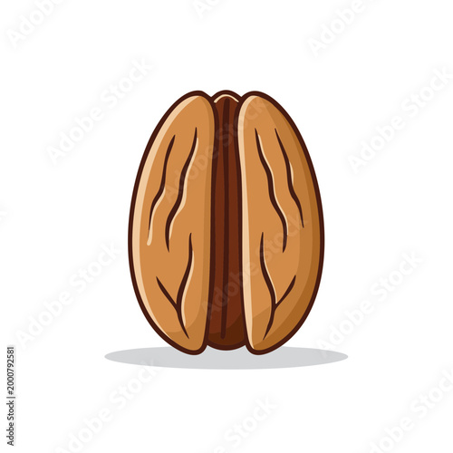 Pecan Nut Half Illustration Vector Food Ingredient Healthy Snack