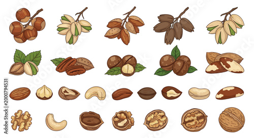 Comprehensive set of different nuts such as almonds, walnuts, pistachios, hazelnuts, and cashews in shells and peeled.