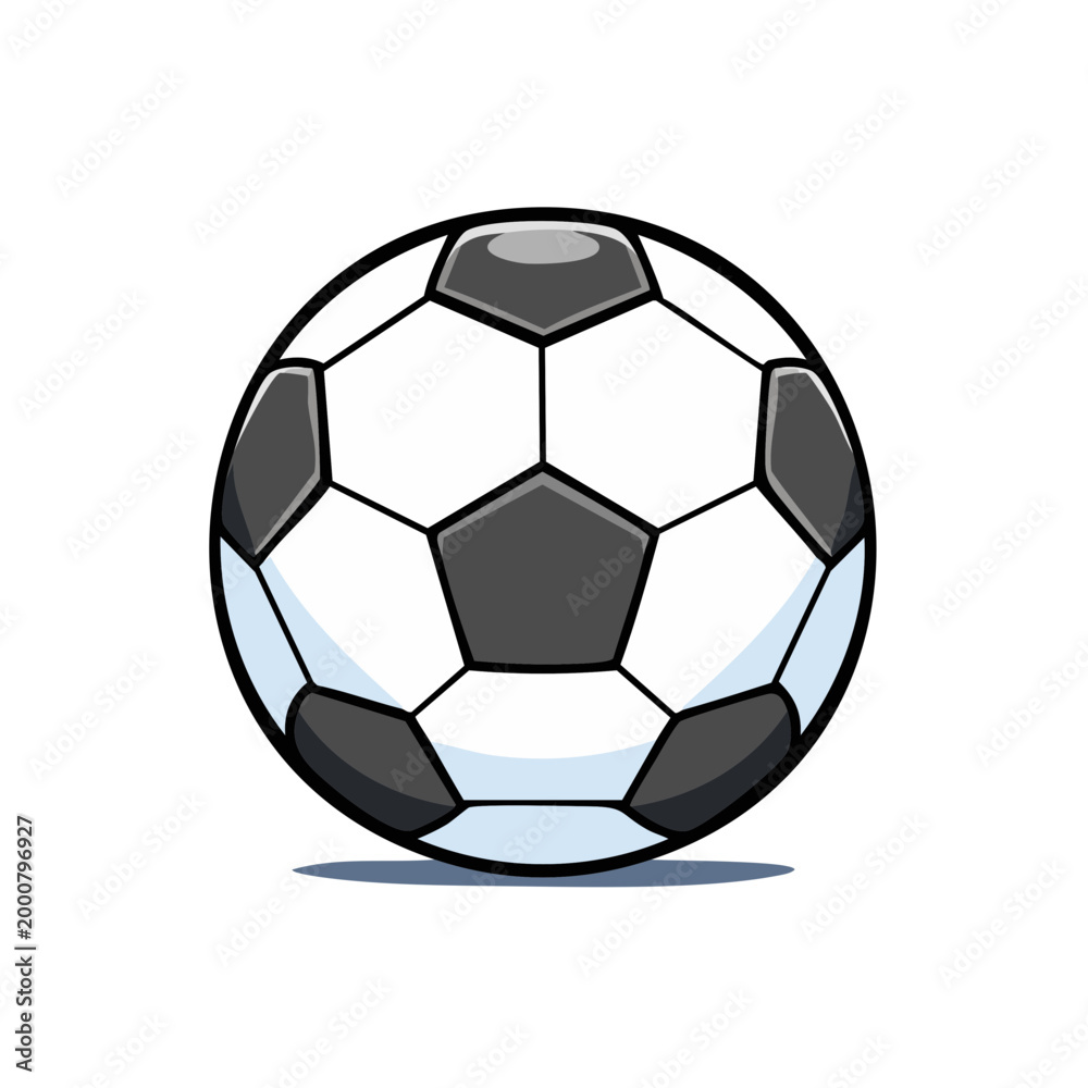 Fototapeta premium Classic Black and White Soccer Ball with Distinctive Panel Pattern