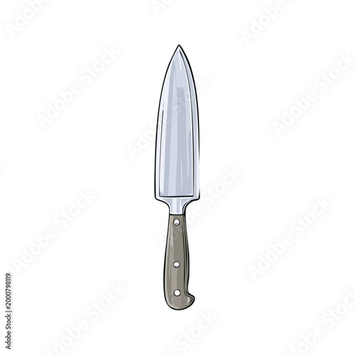 Professional Chef's Knife with Silver Blade and Wood Handle