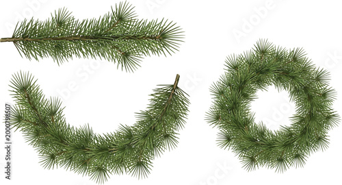 Green pine branches and wreath on white background pine wreath evergreen nature
