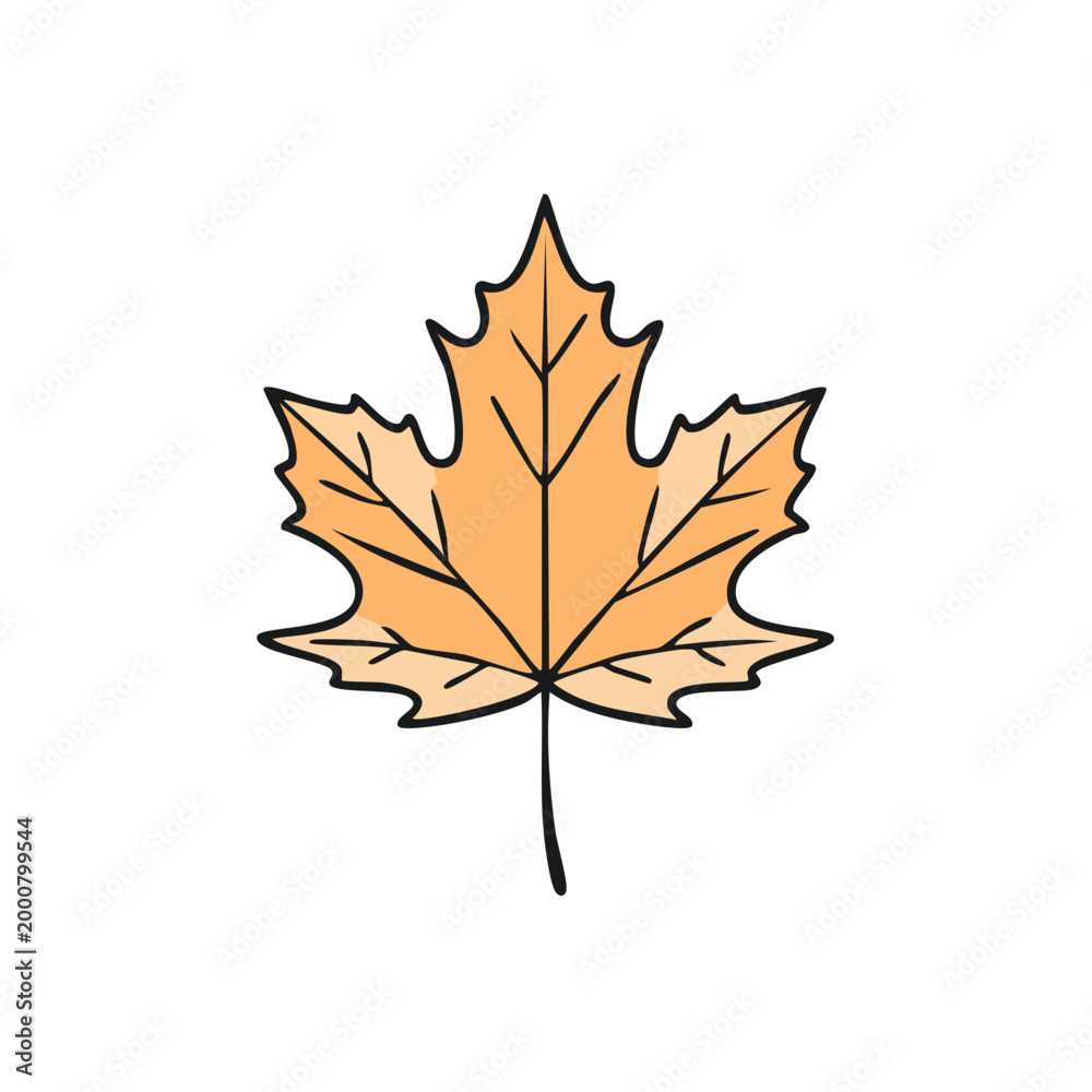 Obraz premium Single stylized orange maple leaf with veins isolated on white background