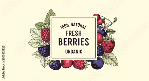 Decorative vintage frame surrounded by hand drawn raspberries, blackberries, and blueberries with a 100 percent natural fresh berries label.