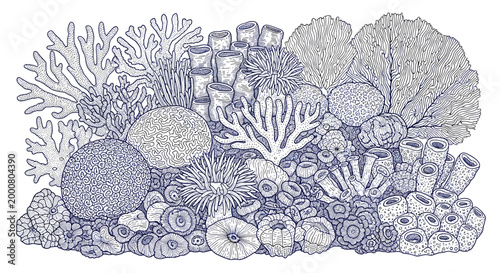 Intricate blue line drawing of a diverse coral reef ecosystem featuring various types of coral, sea fans, and sponges on the ocean floor.