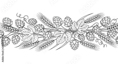 Intricate black and white line art horizontal border featuring ears of wheat and hop cones with leaves for brewing or harvest themes.