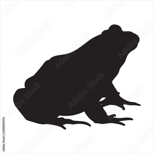 minimalist frog silhouette vector artwork with smooth lines for wildlife branding, eco-themed advertising, educational visuals, and decorative digital projects