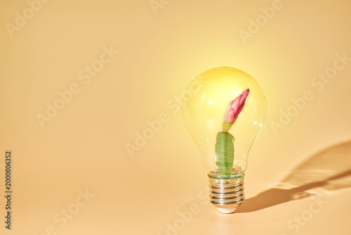 Creative Idea and Sustainable Innovation Concept