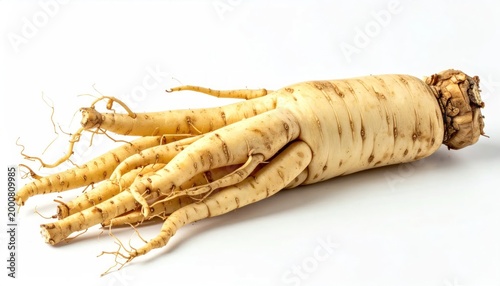 Freshly Harvested Ginseng Root with Multiple Fibrous Tendrils on White Background.