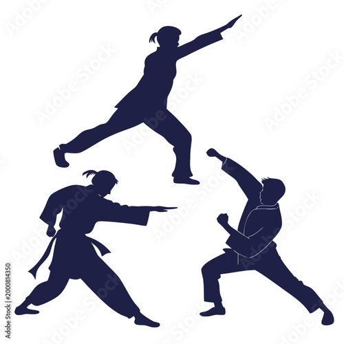 Принти на полотні Martial artists practicing self defense and karate techniques silhouettes with m